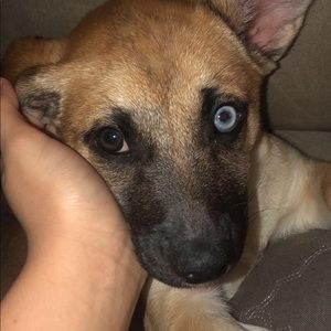 Meet your Posher, Lisa